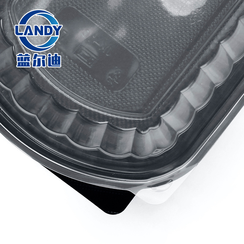 Food Disposable Containers With Transparent Lid Manufacturer