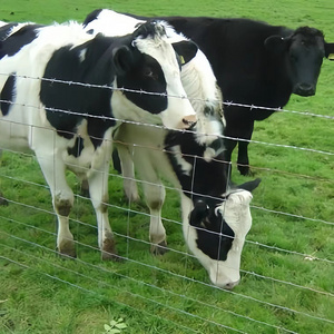 Field Fence for Cattle and Sheep Panel