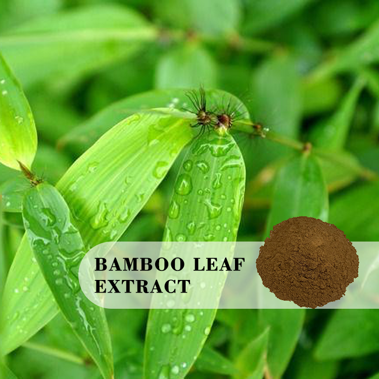 factory supply fresh best quality powder natural silica leaves  10:1 bamboo leaf extract