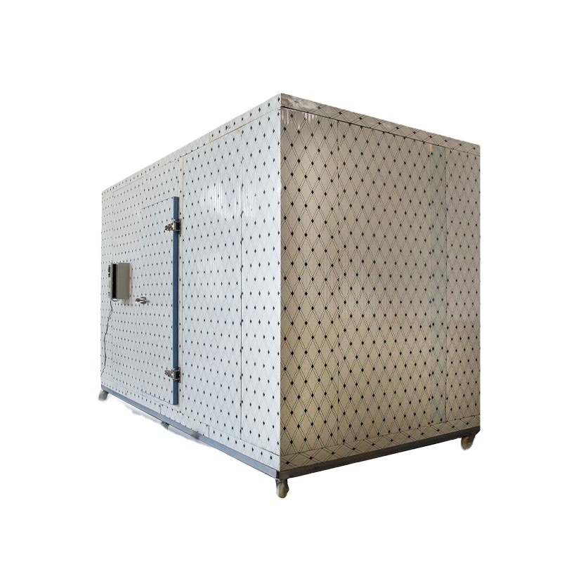 Cold Camera, Coldroom, Walk in Freezers Cooler Industrial Freezer Customized Provided Compressor Open