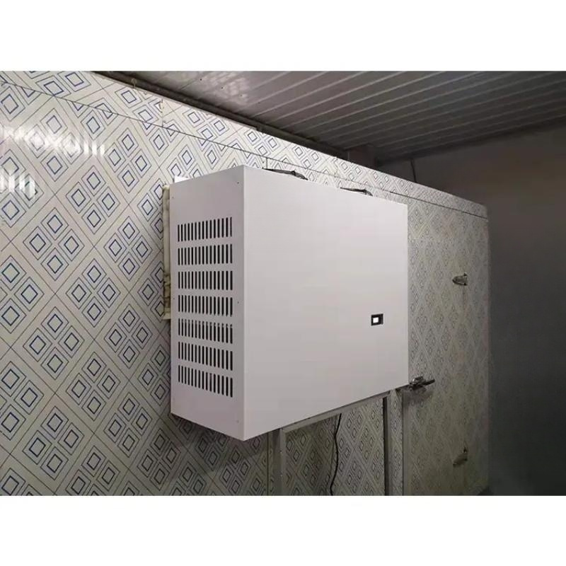 Meat Seafood Beef Chicken Walk In Chiller With Monoblock Unit Use For Refrigeration Freezer Room