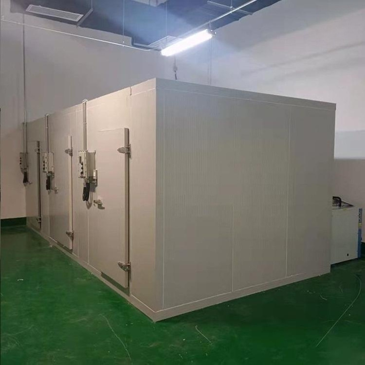 Manufacturers hot sale can be customised air cooling system display walk-in freezer cold room glass door Price is preferential