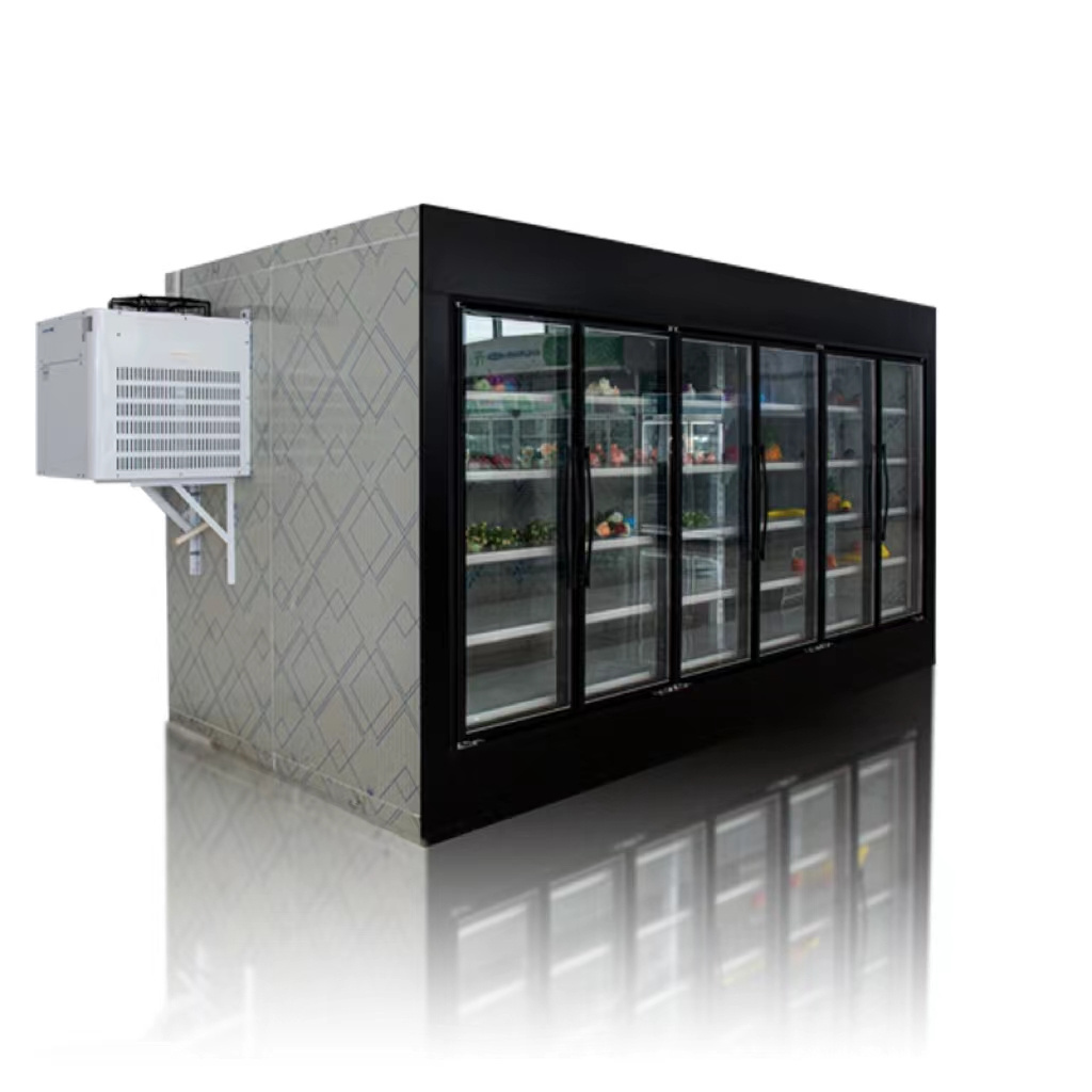 Factory hot sale can be customised air cooling system display walk-in freezer cooler glass door