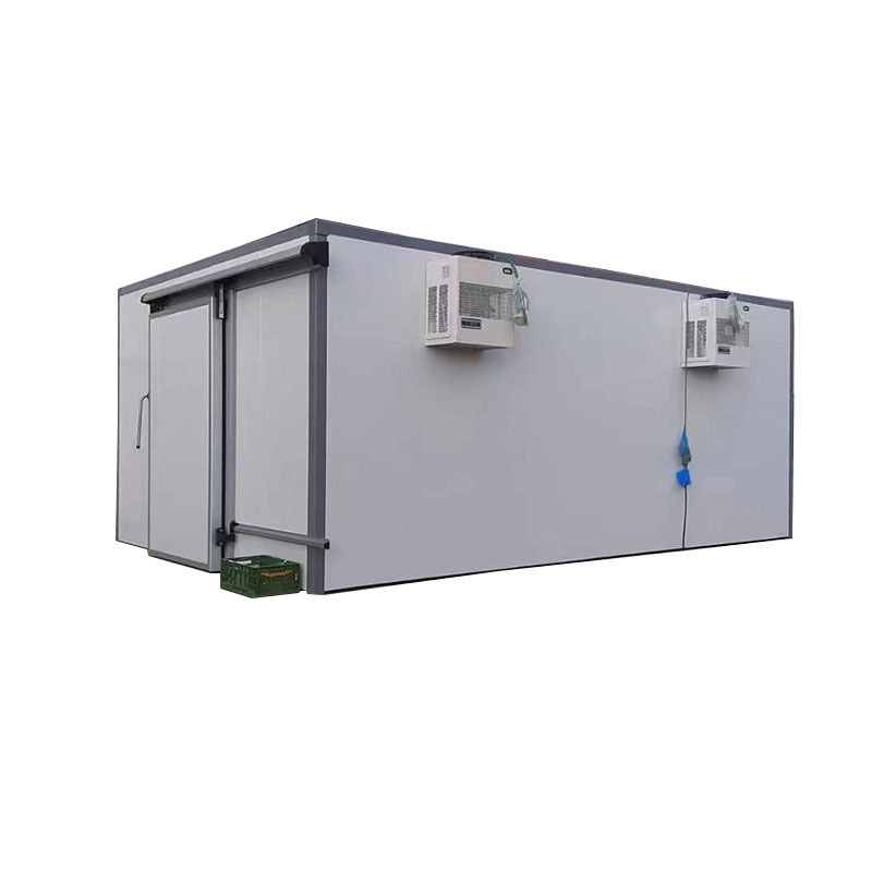 Blast freezer Frozen Meat Fish Processing Seafood Cold Room Chicken Cold Storage Room For Sale