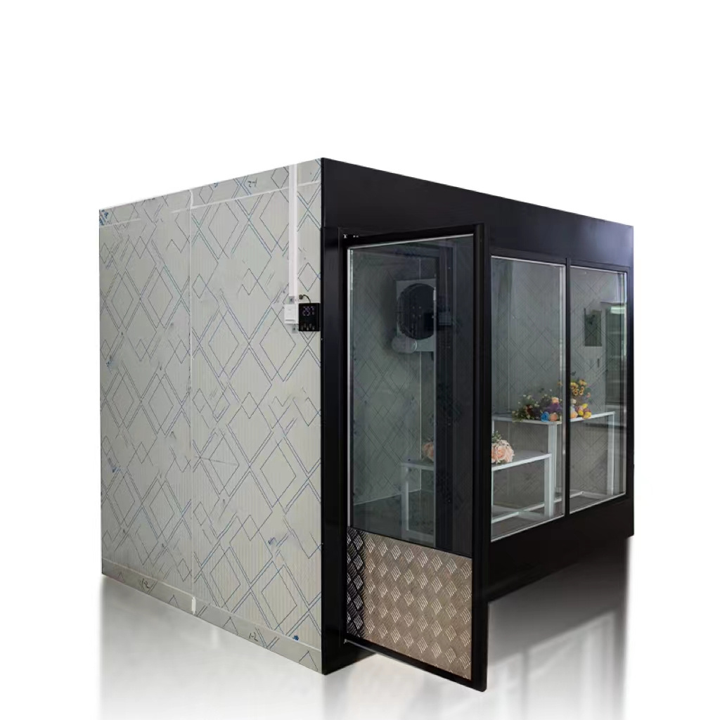 Factory hot sale can be customised air cooling system display walk-in freezer cooler glass door