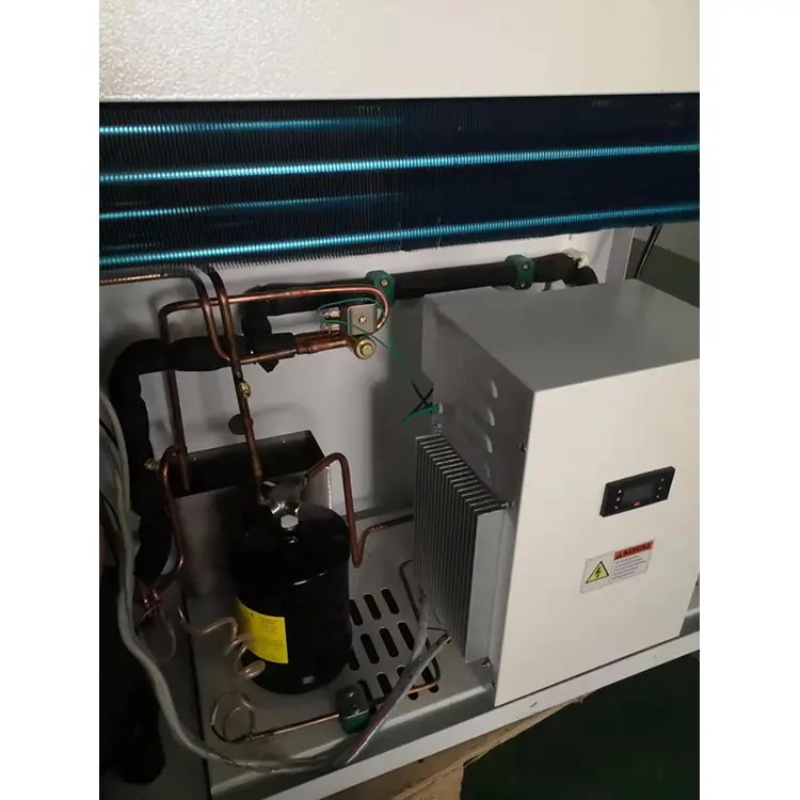 Meat Seafood Beef Chicken Walk In Chiller With Monoblock Unit Use For Refrigeration Freezer Room