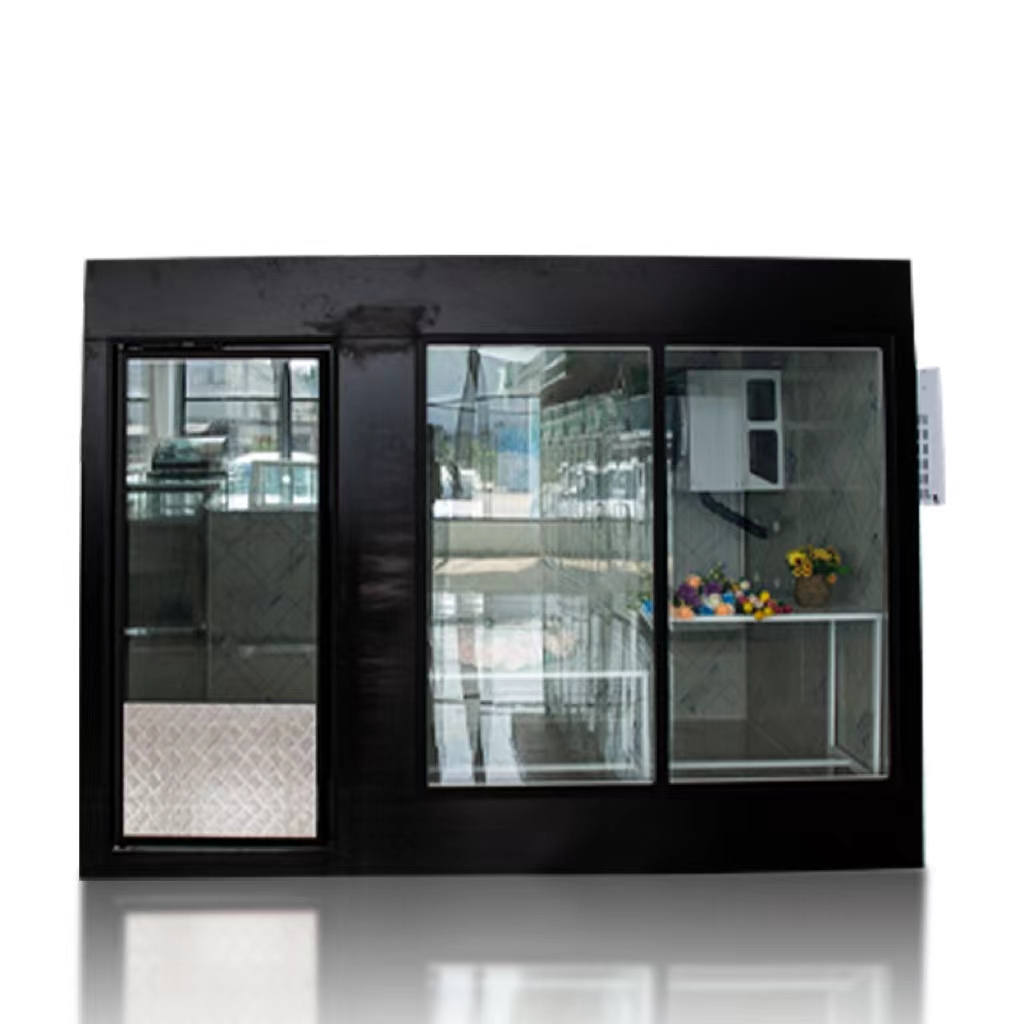 Factory hot sale can be customised air cooling system display walk-in freezer cooler glass door