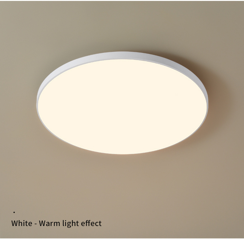 15 Watt China SMD Nordic LED Ceiling Light Fixture Indoor Bathroom Round Modern Ceiling Lamp