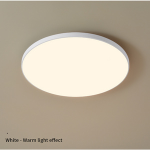 15 Watt China SMD Nordic LED Ceiling Light Fixture Indoor Bathroom Round Modern Ceiling Lamp