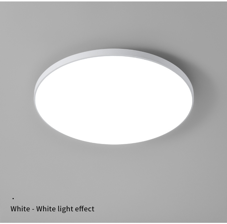 Round LED Surface Mounted Ceiling Lamp for Small Room Kitchen Ceiling Light