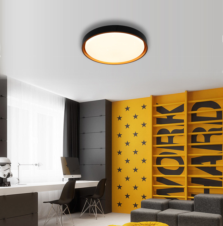 High Lumens Modern Kitchen Fixtures Round Shape Led Ceiling Light