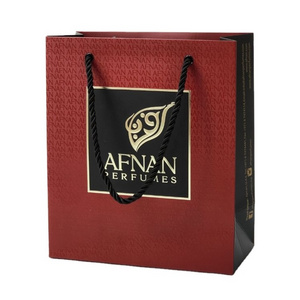 Biodegradable Luxury Perfume Paper Bag Shopping Gift Bags with Your Own Logo