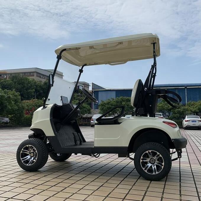 New Design Mini 2 Seater Electric Golf Car 5KW Motor 48V CE Certified Electric Golf Buggies Carts for Adults