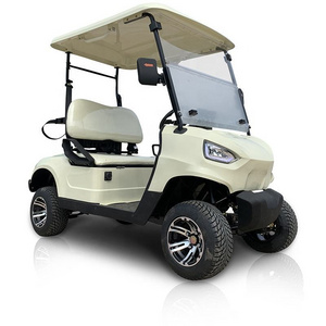 New Design Mini 2 Seater Electric Golf Car 5KW Motor 48V CE Certified Electric Golf Buggies Carts for Adults