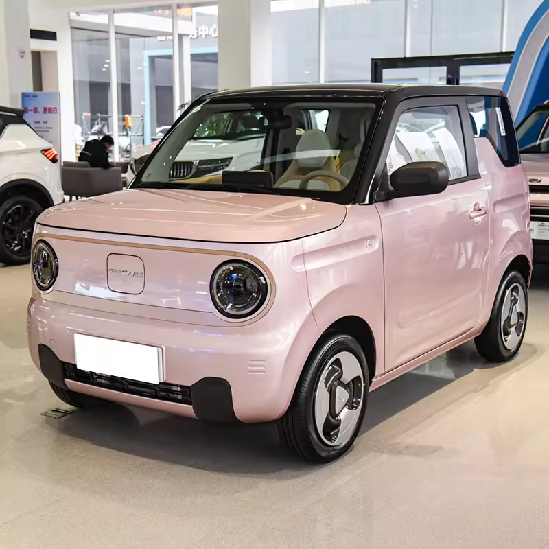 2024 Chinese Cheap Geely Panda Mini EV Chinese New Energy Vehicle Easy Packing Afable Electric Car in China