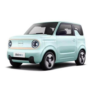 2024 Chinese Cheap Geely Panda Mini EV Chinese New Energy Vehicle Easy Packing Afable Electric Car in China