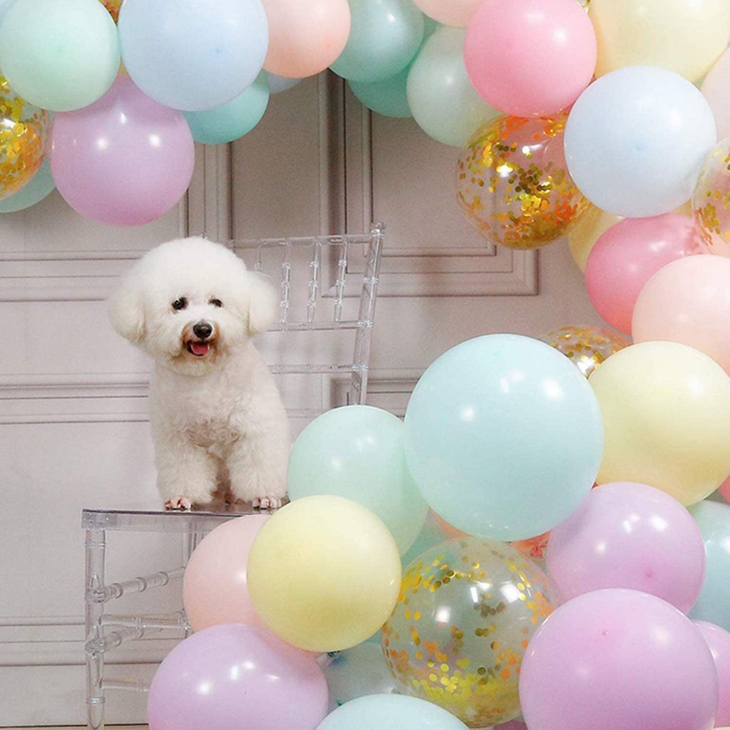 Pastel balloon garland arch set macaron color pastel party balloon set and golden confetti balloons suitable for wedding birthd