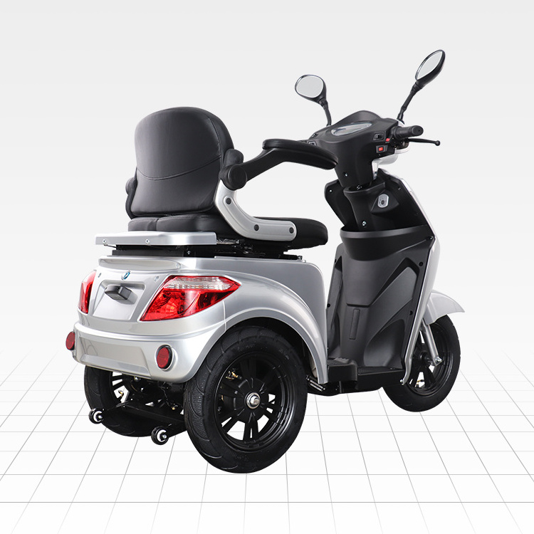 VISTA-2 VIGOROUS Off Road Scooter Electric 3 Wheel Electric Tricycle with 10 Inches Tire