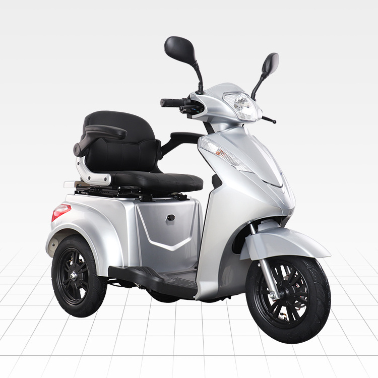 VISTA-2 VIGOROUS Off Road Scooter Electric 3 Wheel Electric Tricycle with 10 Inches Tire