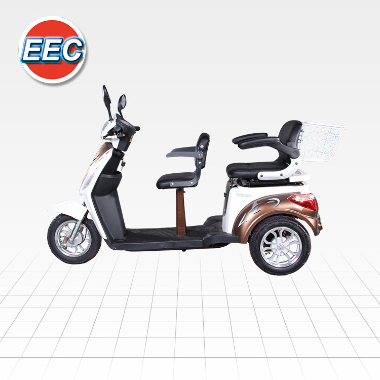 VISTA-L1 Tricycle Electric Scooter Handicap Electric Scooter with 2 Seat for Ladies