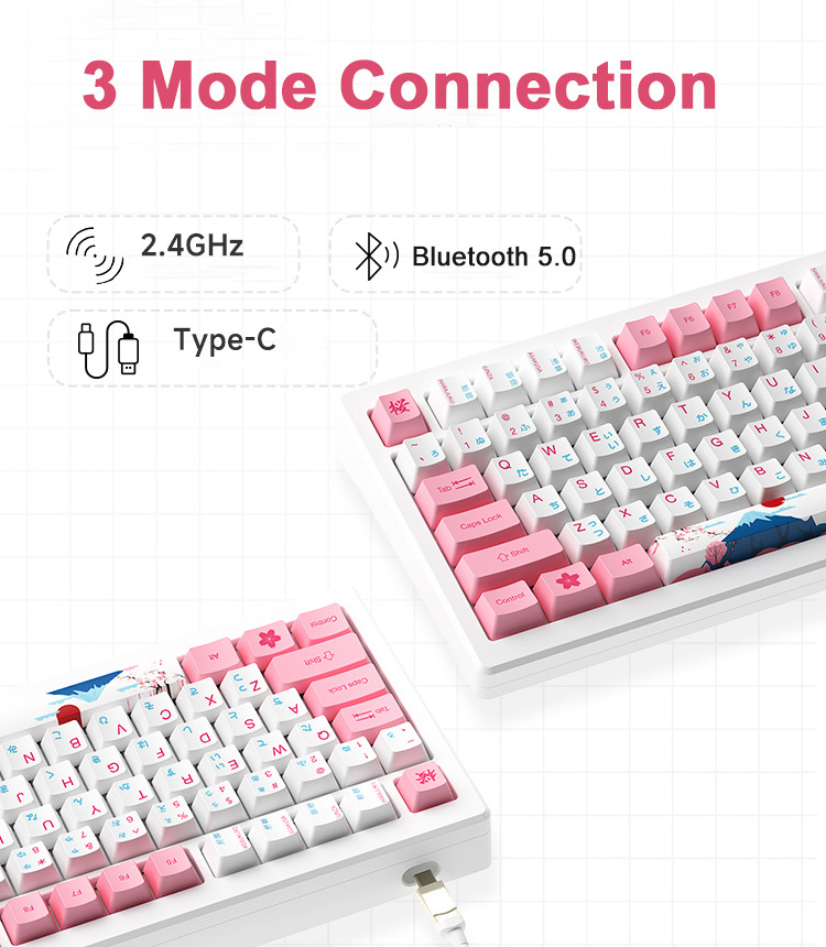 AKKO MOD 007B HE Office Gaming Wired Wireless BT Magnetic Switch RGB Mechanical Keyboards