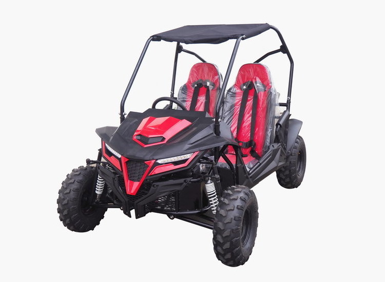 2024 High Quality Powerful Adults Racing Electric Dune Buggy 45km/H Off Road Go Karts