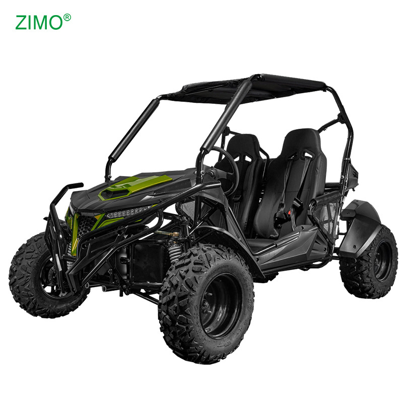 2024 New Gasoline 250cc 300cc Beach Racing Go Kart for Sale, Off Road Side By Side Dune Buggy for Adults