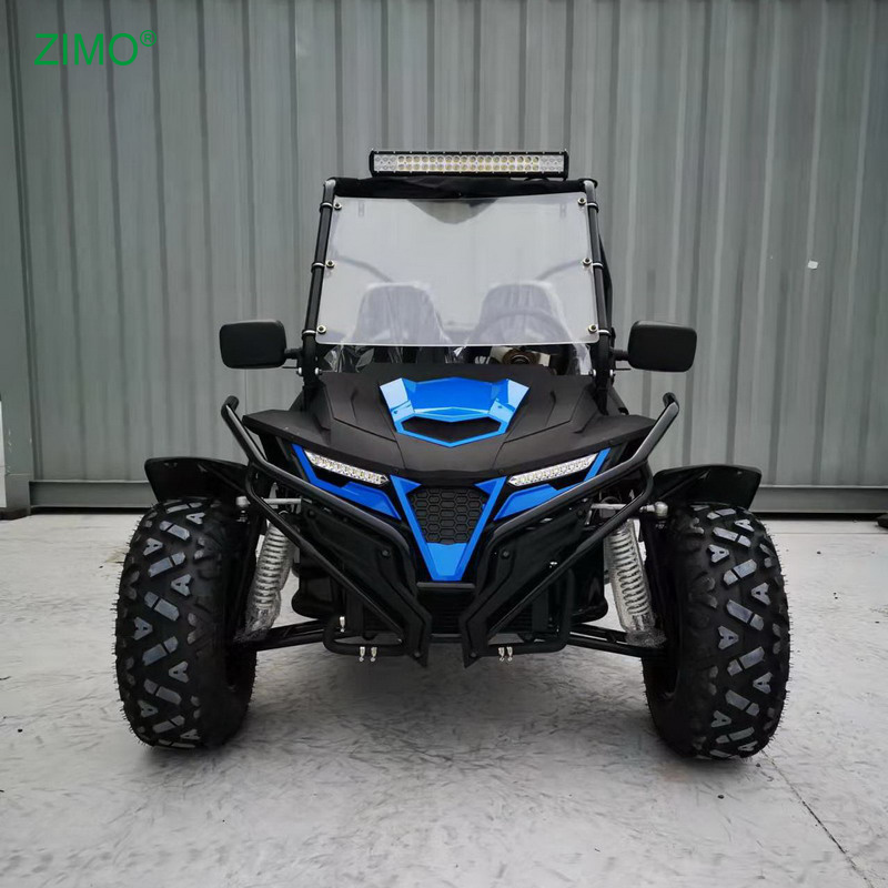 2024 Professional Side By Side Street Legal Go Kart Buggy for Sale