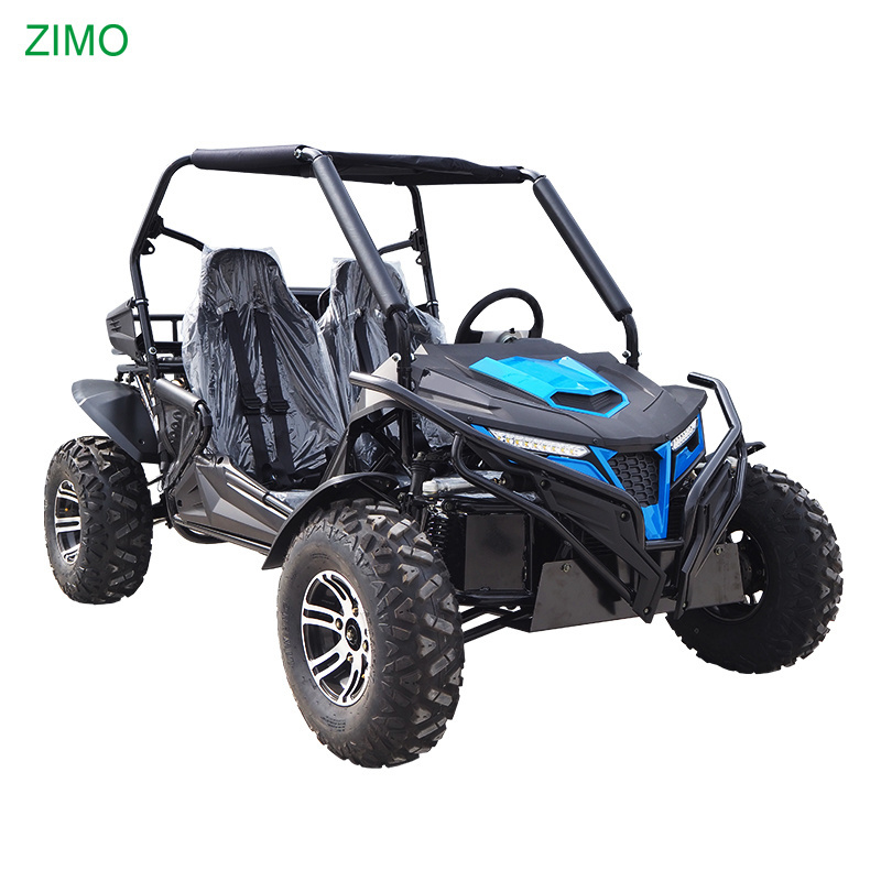 2024 New Gasoline 250cc 300cc Beach Racing Go Kart for Sale, Off Road Side By Side Dune Buggy for Adults