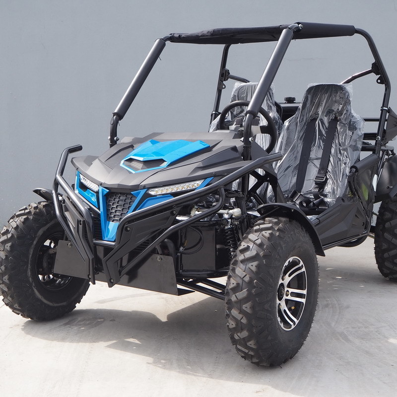 300cc Gasoline Off Road UTV Buggy Go Karts