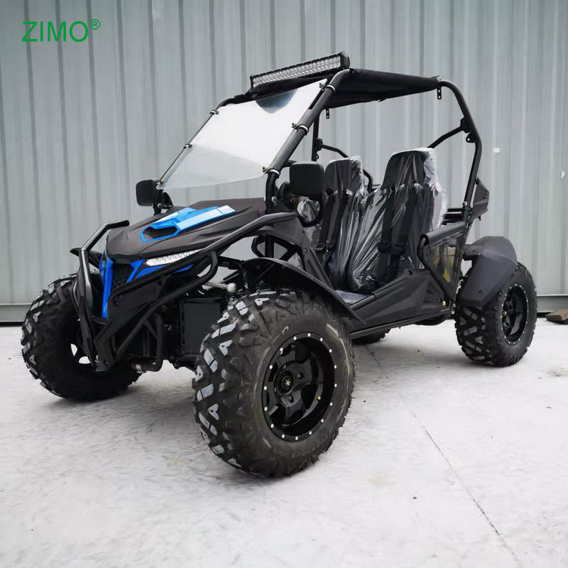 300cc Automatic Off-road 4X2 Racing Buggy Go Karts