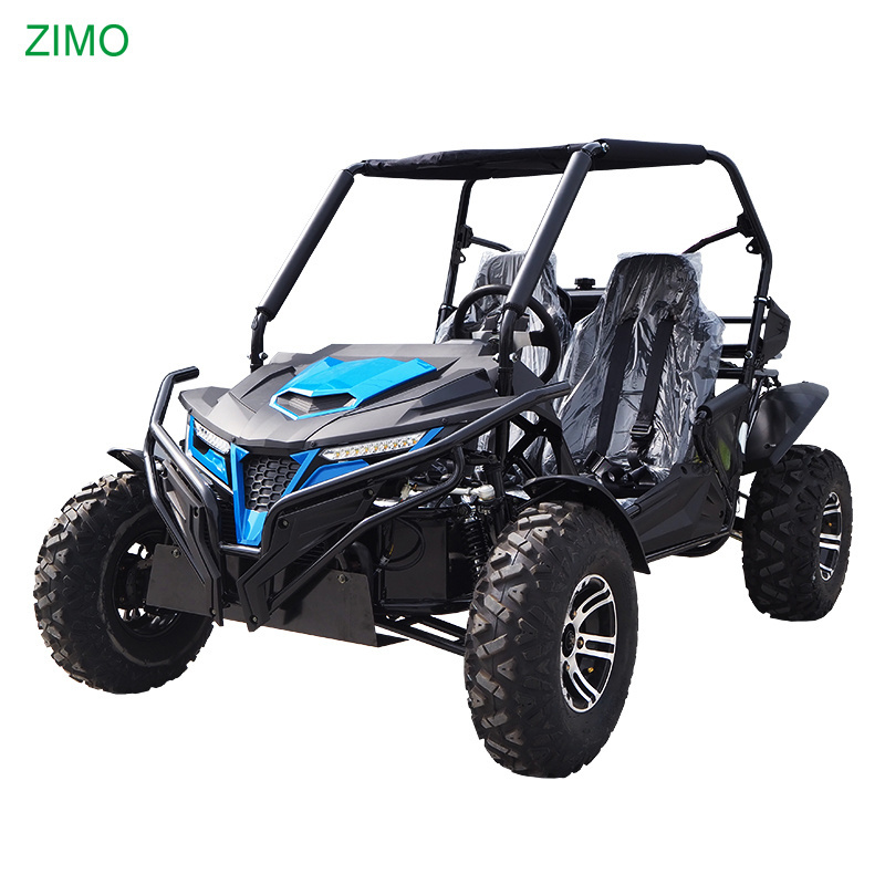 2024 New Gasoline 250cc 300cc Beach Racing Go Kart for Sale, Off Road Side By Side Dune Buggy for Adults