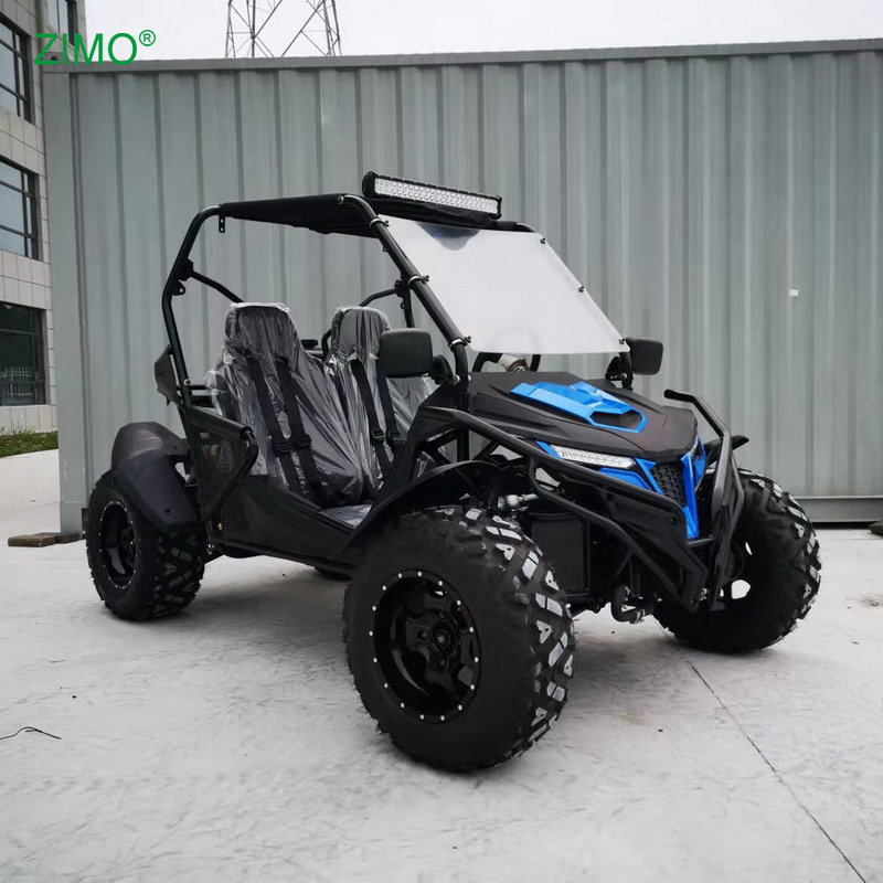 2024 Professional Side By Side Street Legal Go Kart Buggy for Sale