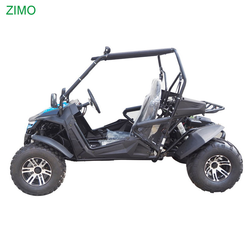 New 200cc High quality Double Seats Go Kart Dune Buggy for sale