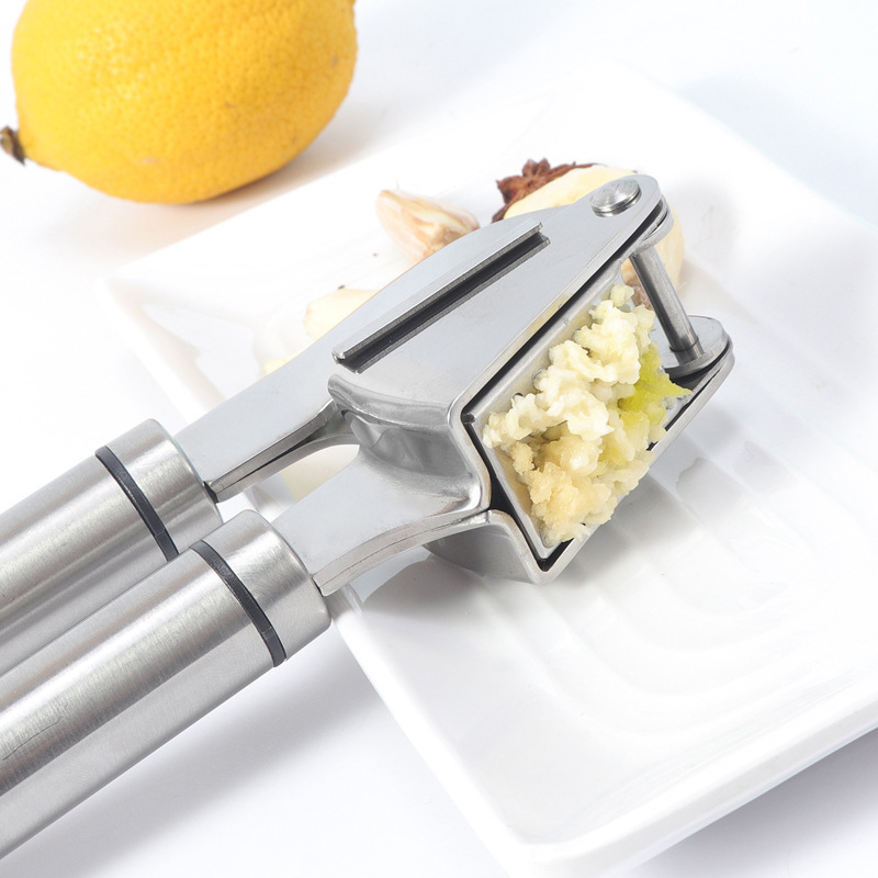 Professional Stainless Steel Garlic Chopper, Chopping Garlic Press Manual Chopper