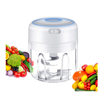 2023 New Electric Mini Garlic Chopper, Portable Food Processor, Vegetable Chopper Onion Mincer USA Kitchen Accessories gadgets