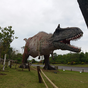 Outdoor Life Size Animatronic Dinosaur for Sale