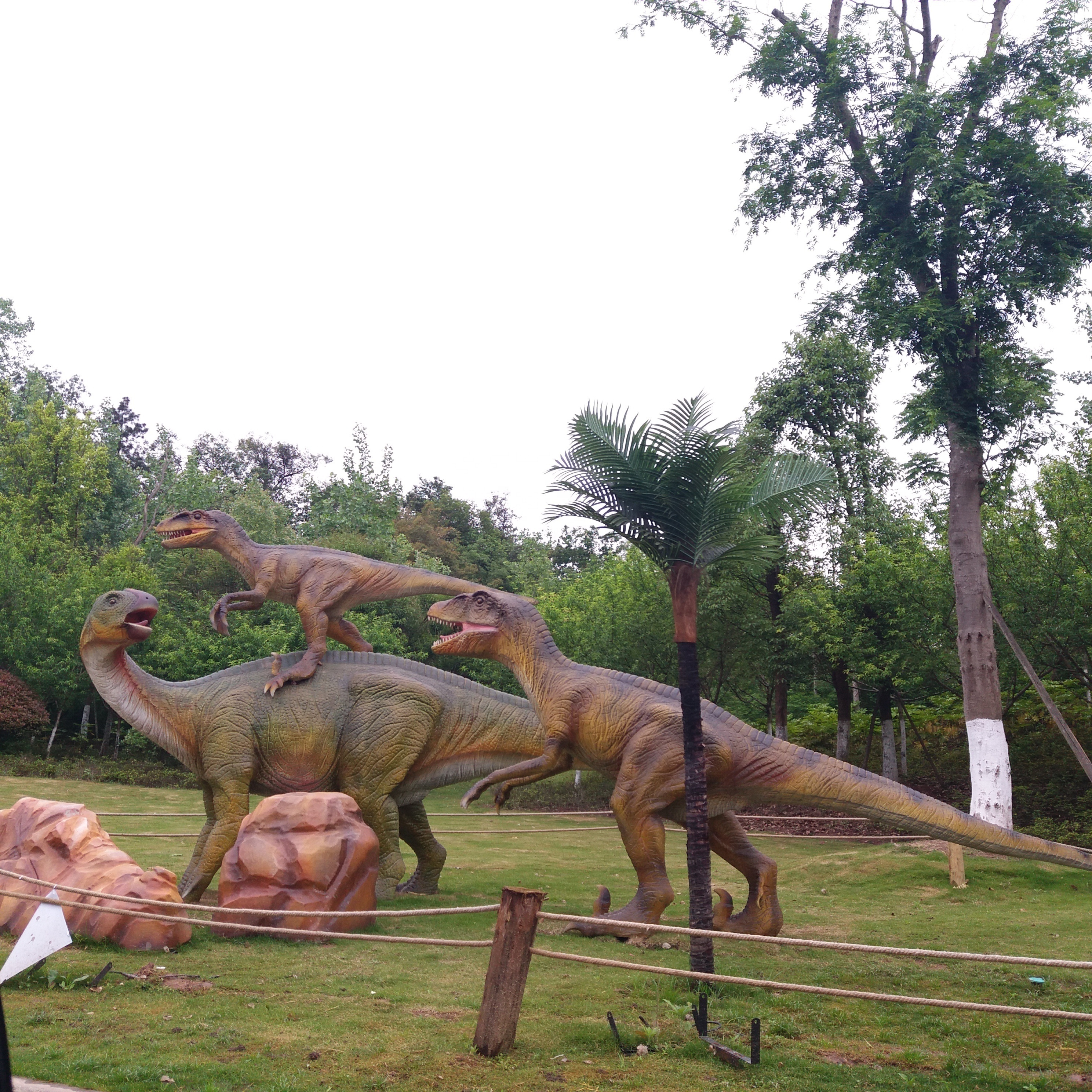 Outdoor Life Size Animatronic Dinosaur for Sale