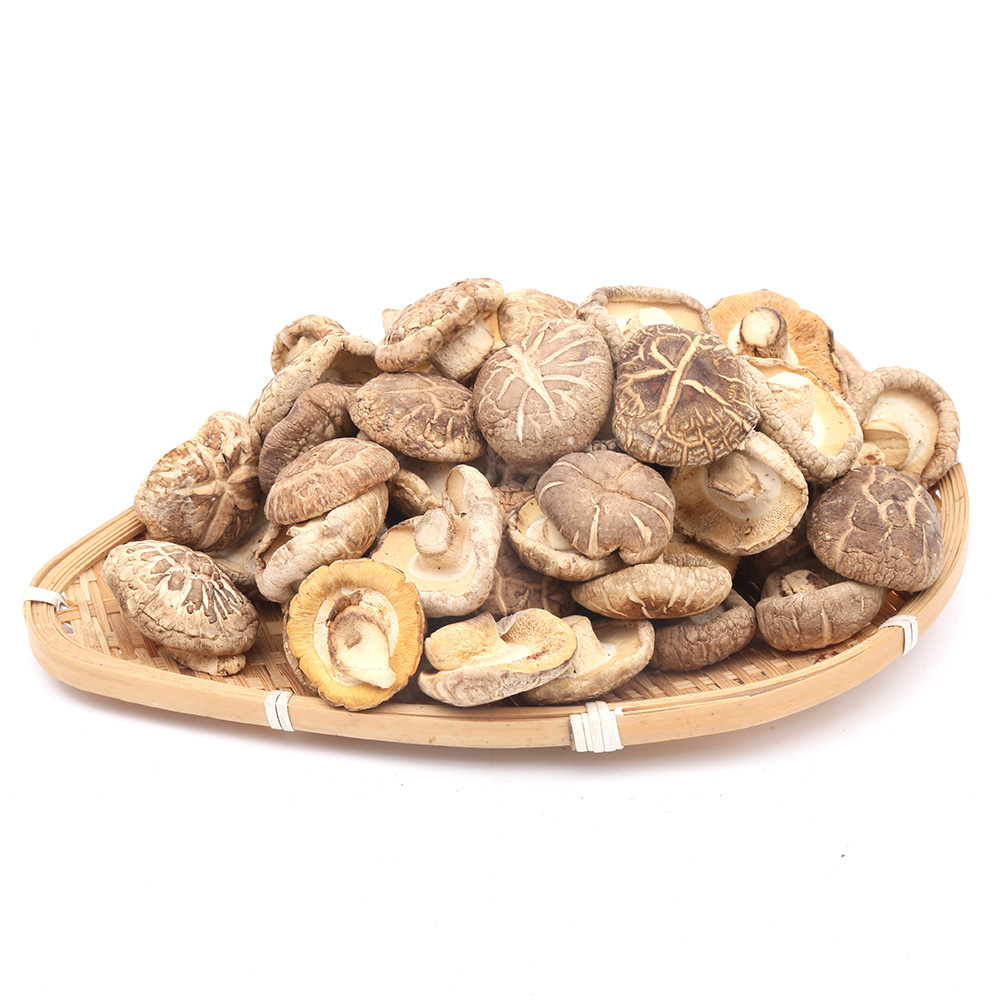 Hot Selling Original Chips Shiitake Mushrooms With High Quality