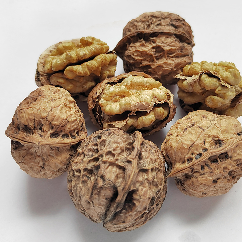 Chinese new crop dried walnut price in China