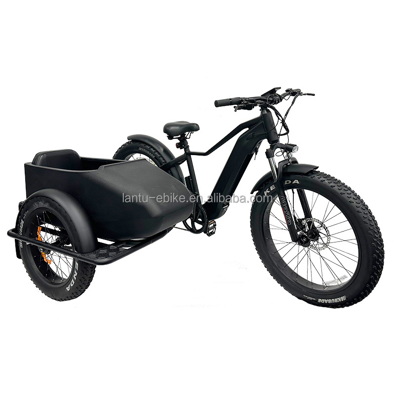 High performance electric bike with sidecar for dog 500w 750w 1000w fat tire ebike with 48v 20ah battery side car for e-bike