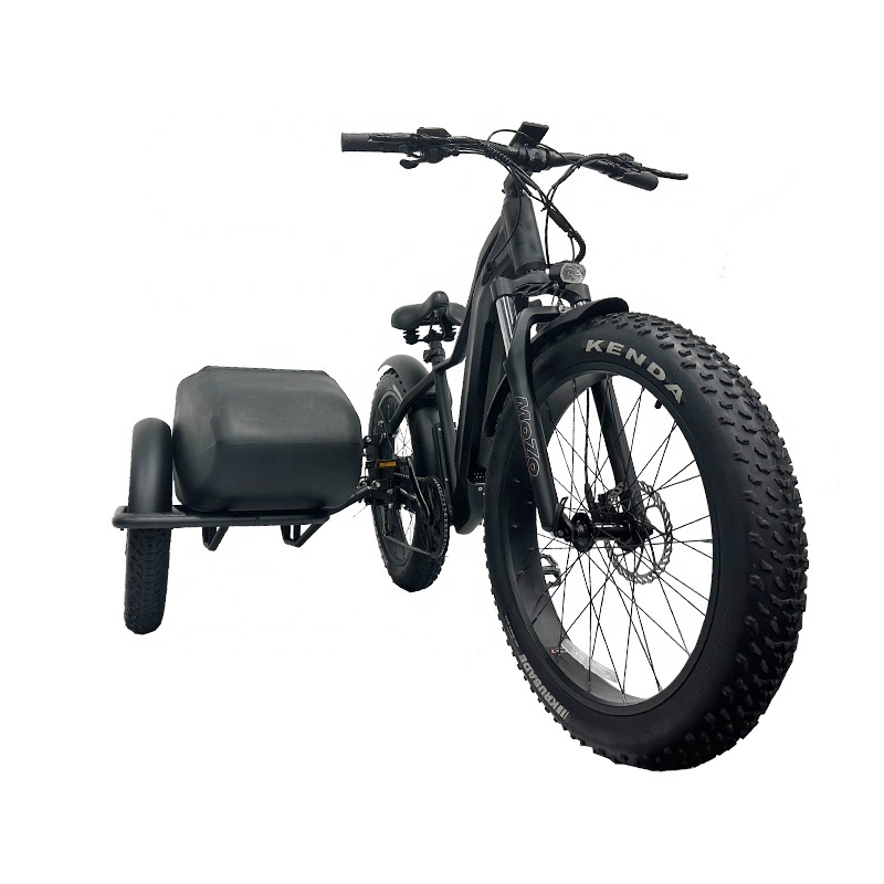 OEM ODM ebike manufacturer high quality 500w 750w 1000w side car ebike  electric motorcycle with side car for kids