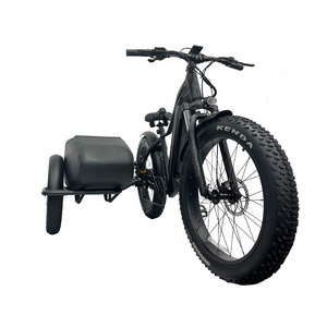 Factory wholesale 26 inch beach fat tire electric bike with side car