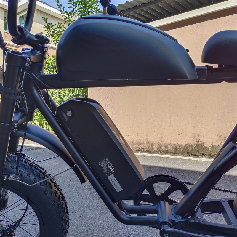 Lantu Ebike 1000w 48v 20Ah lithium battery moped style fat tire 2 seat ebike with passenger seat