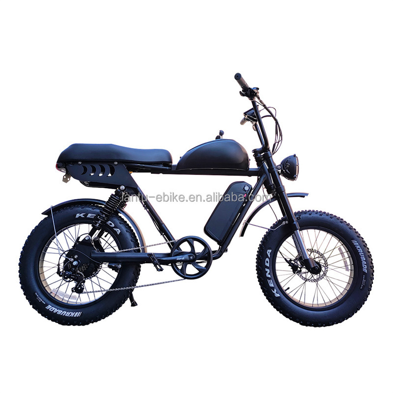 Lantu Ebike 1000w 48v 20Ah lithium battery moped style fat tire 2 seat ebike with passenger seat