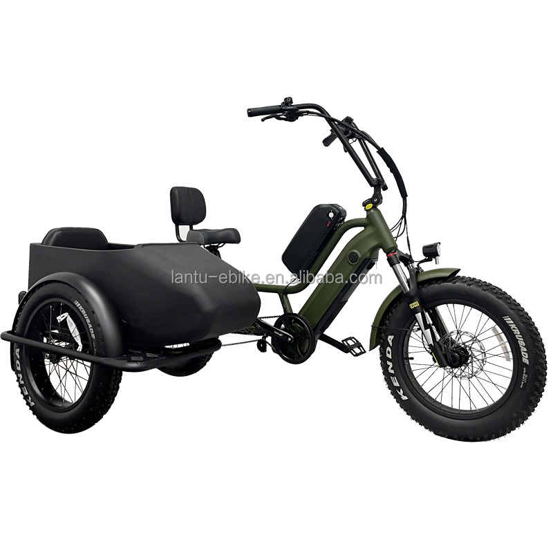 Lantu Ebike Sidecar 20 inch 750w Dual Battery Three Wheel Road Family Bike Retro Electric Tricycle