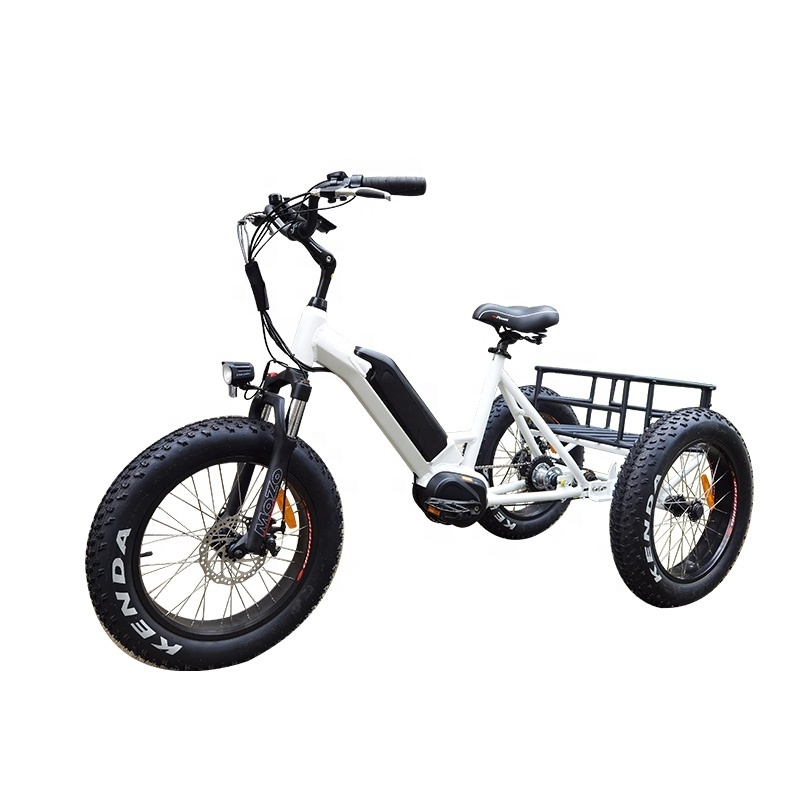 High class 500w Bafang mid drive motor three wheel electric bike cargo tricycle for sale