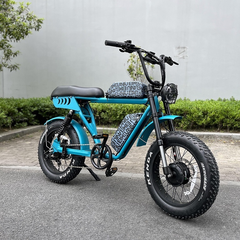 Wholesale custom 20 wheel two person awd fat tire electric bike with double battery USA