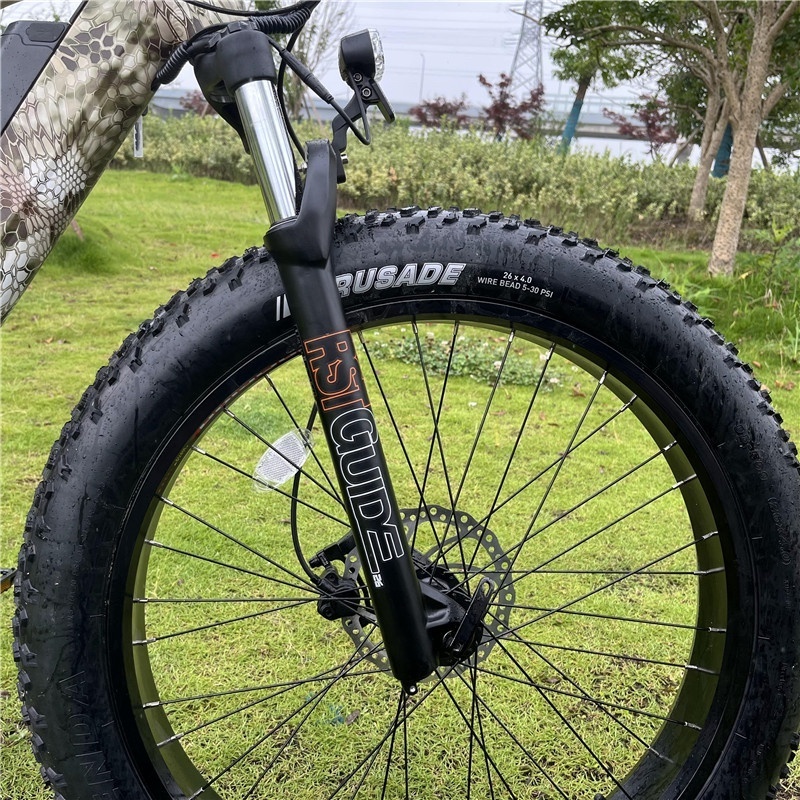 Lantu factory OEM customized 26 inch electric hunting mid drive fat tire mountain bike for men