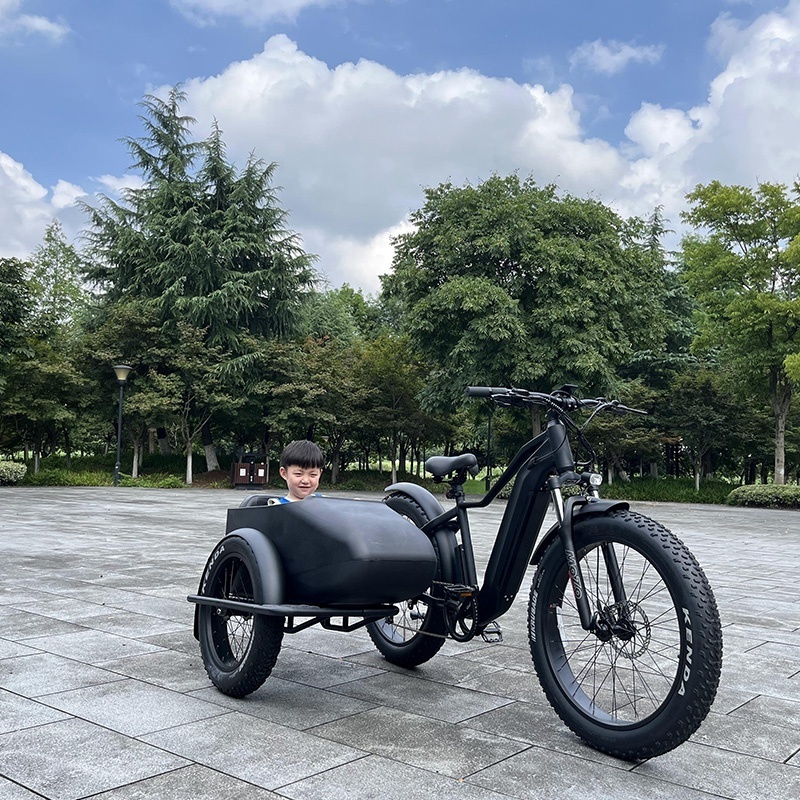 2023 hot selling customized 3 wheel fat tire electric bicycle with sidecar for adults